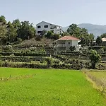 Mira *